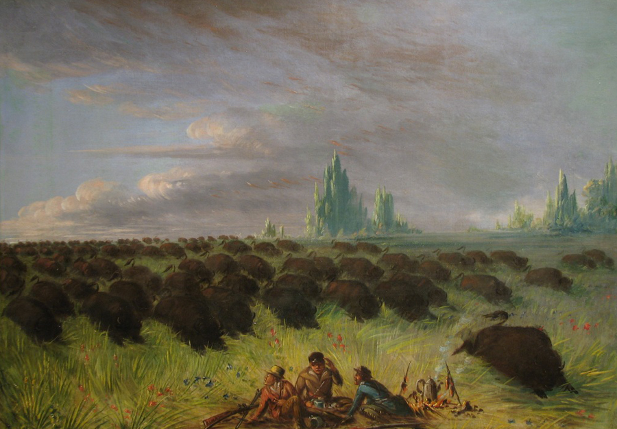 George Catlin’s A Prairie Picnic Disturbed by a Rushing Herd of Buffalo (1854)