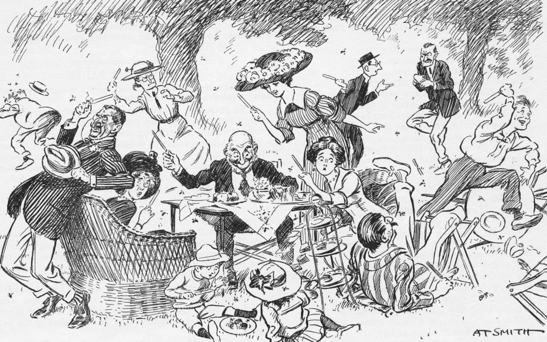 A.T. Smith’s  Picnic Fiasco “Slicing the Wasps” (1919)