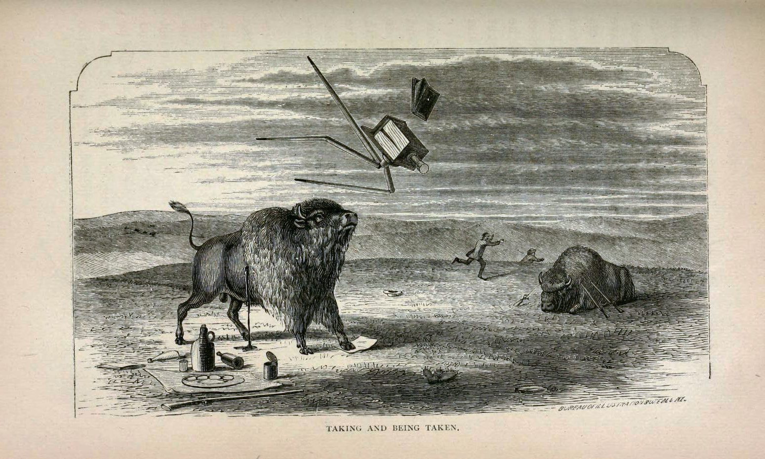 henry-worrall-taking-and-being-taken-webbs-buffalo-land