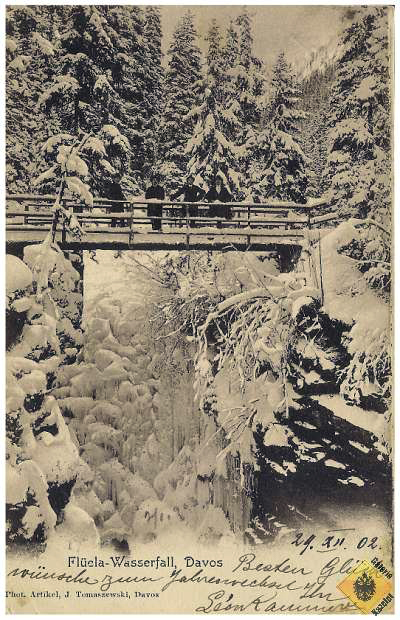 Pieter Peeperkorn’s Picnic at Flüela Falls in  Mann’s The Magic Mountain (1924)
