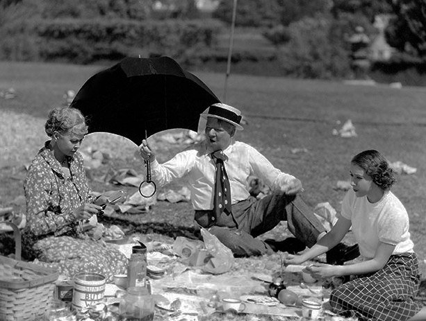 Norman Z. McLeod's It's a Gift (1934) | Picnic Wit