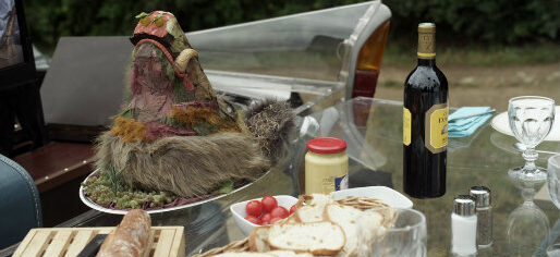 Michel Gondry’s Mood Indigo (2013)