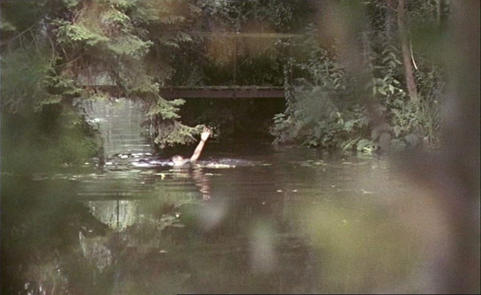 Agnes Varda’s Le Bonheur (1964)